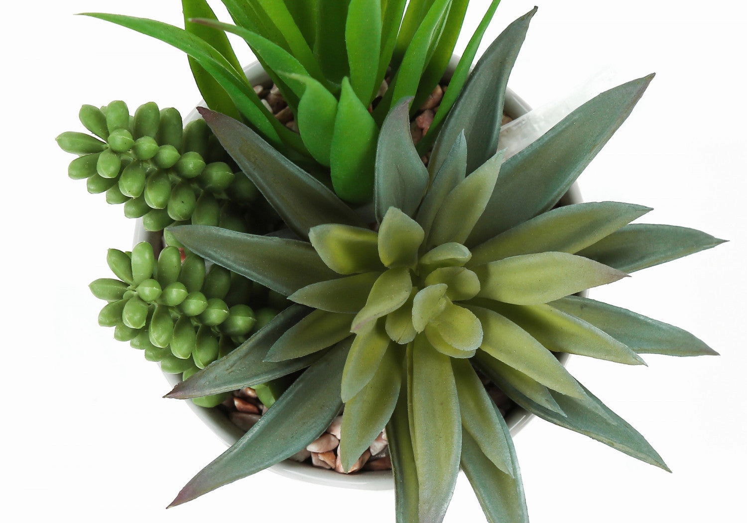 7" Succulent Plant With 3" White Pot - Green - Set of Two