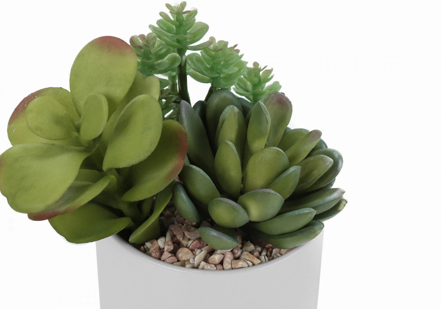 7" Succulent Plant With 3" White Pot - Green - Set of Two