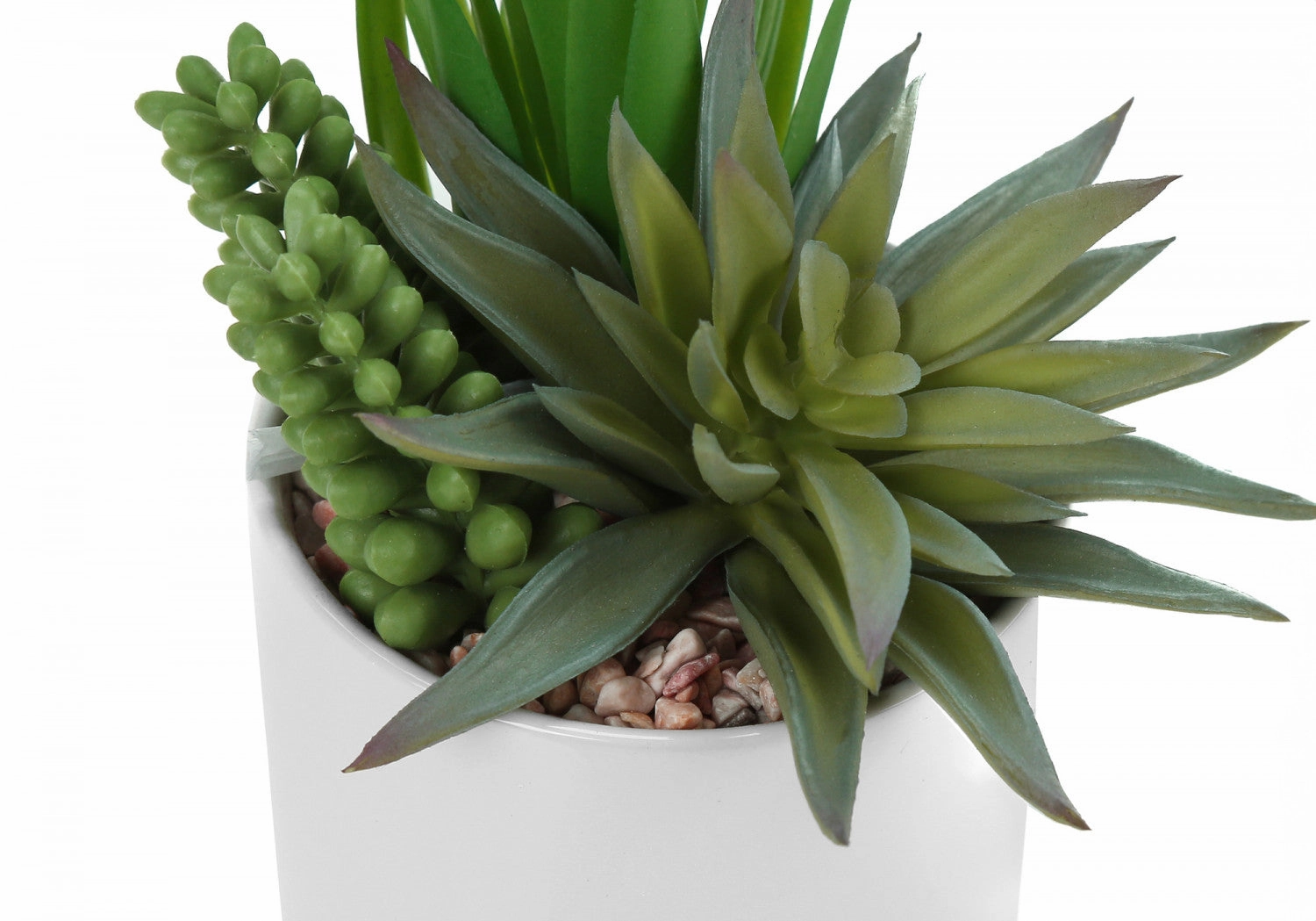 7" Succulent Plant With 3" White Pot - Green - Set of Two