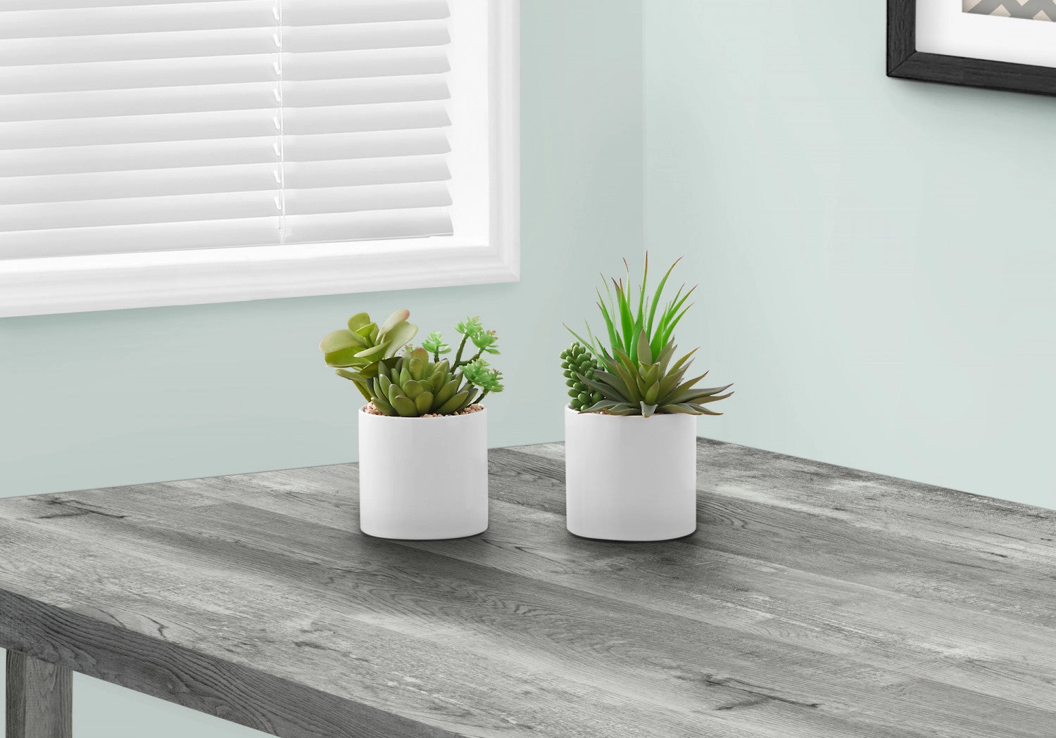 7" Succulent Plant With 3" White Pot - Green - Set of Two