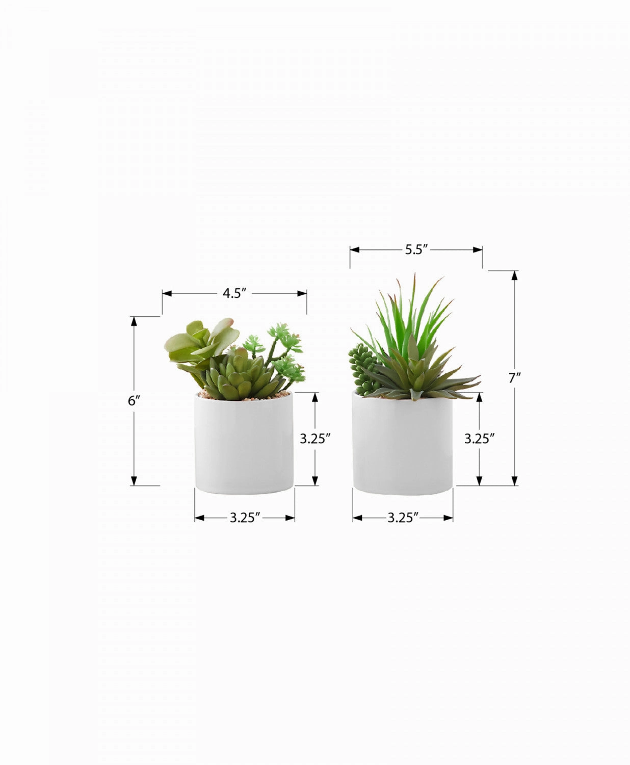 7" Succulent Plant With 3" White Pot - Green - Set of Two