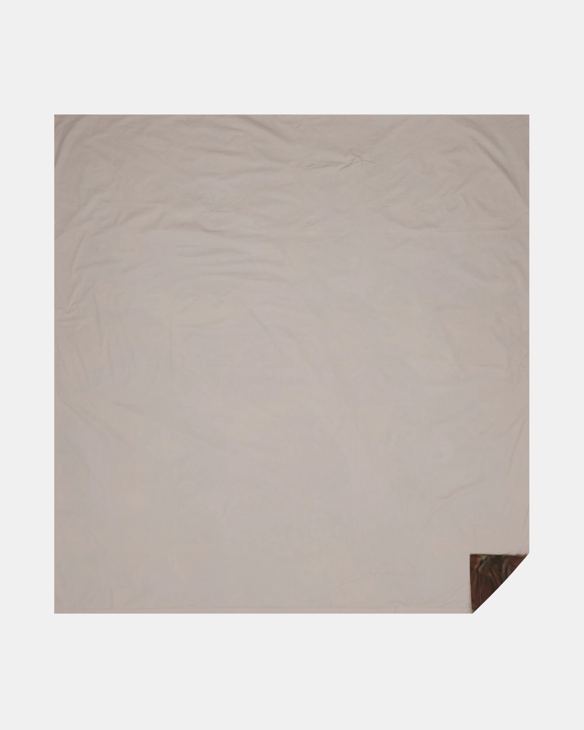 Brown Bags Bedsheet Multicolor
