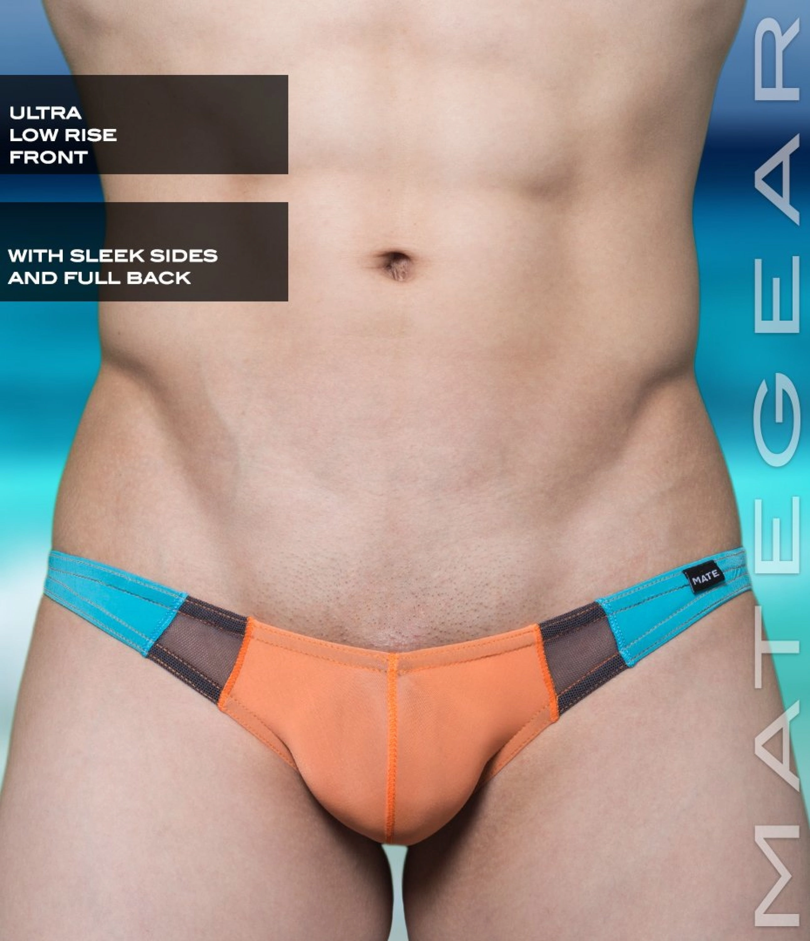 Sexy Men's Swimwear Ultra Swim Bikini - Roe Yeon III (Ultra Low Rise Front / Ultra Thin Nylon Series)