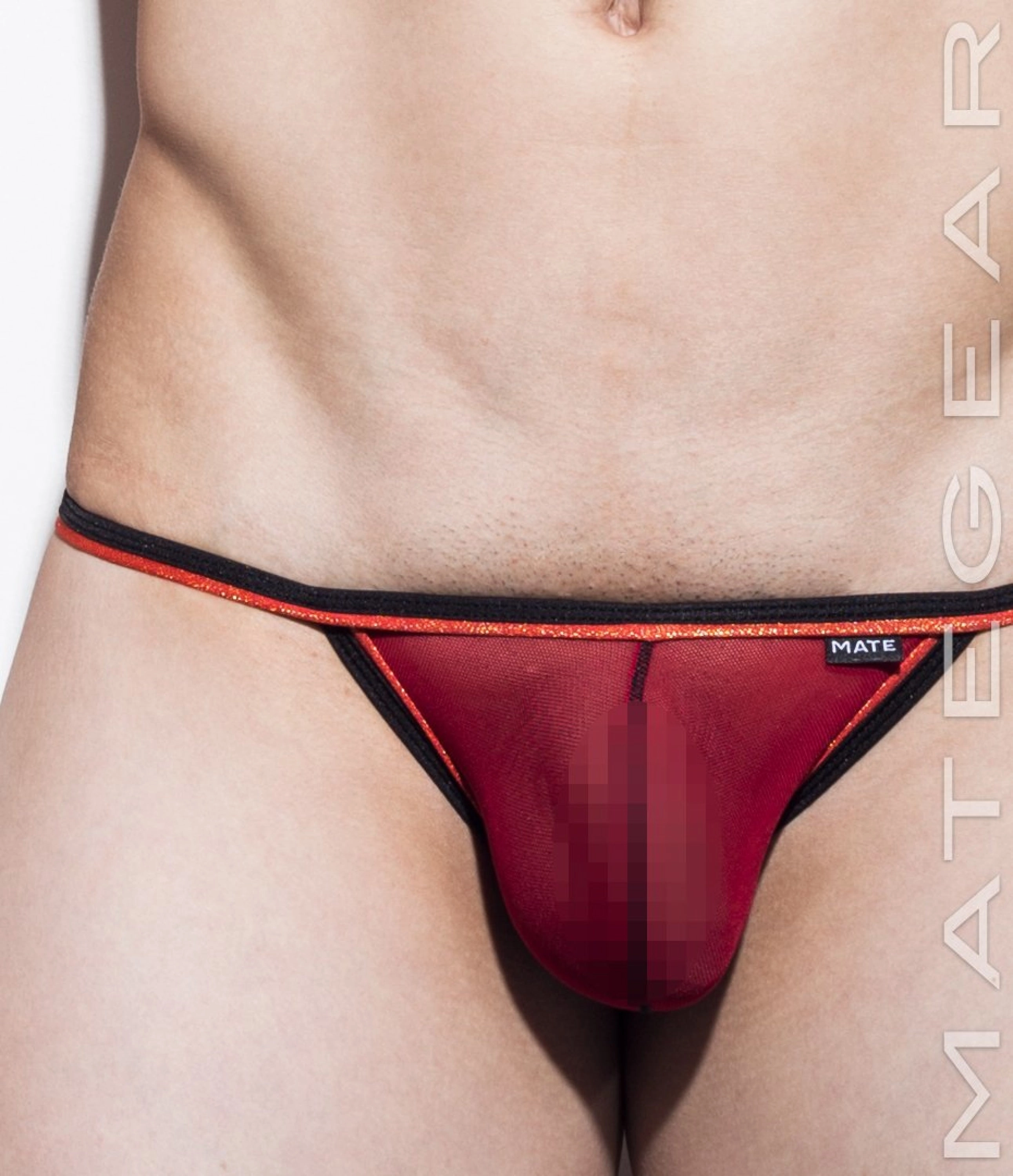 Sexy Mens Underwear Extremely Sexy Mini Bikini - Nam Woo (Mesh Series)