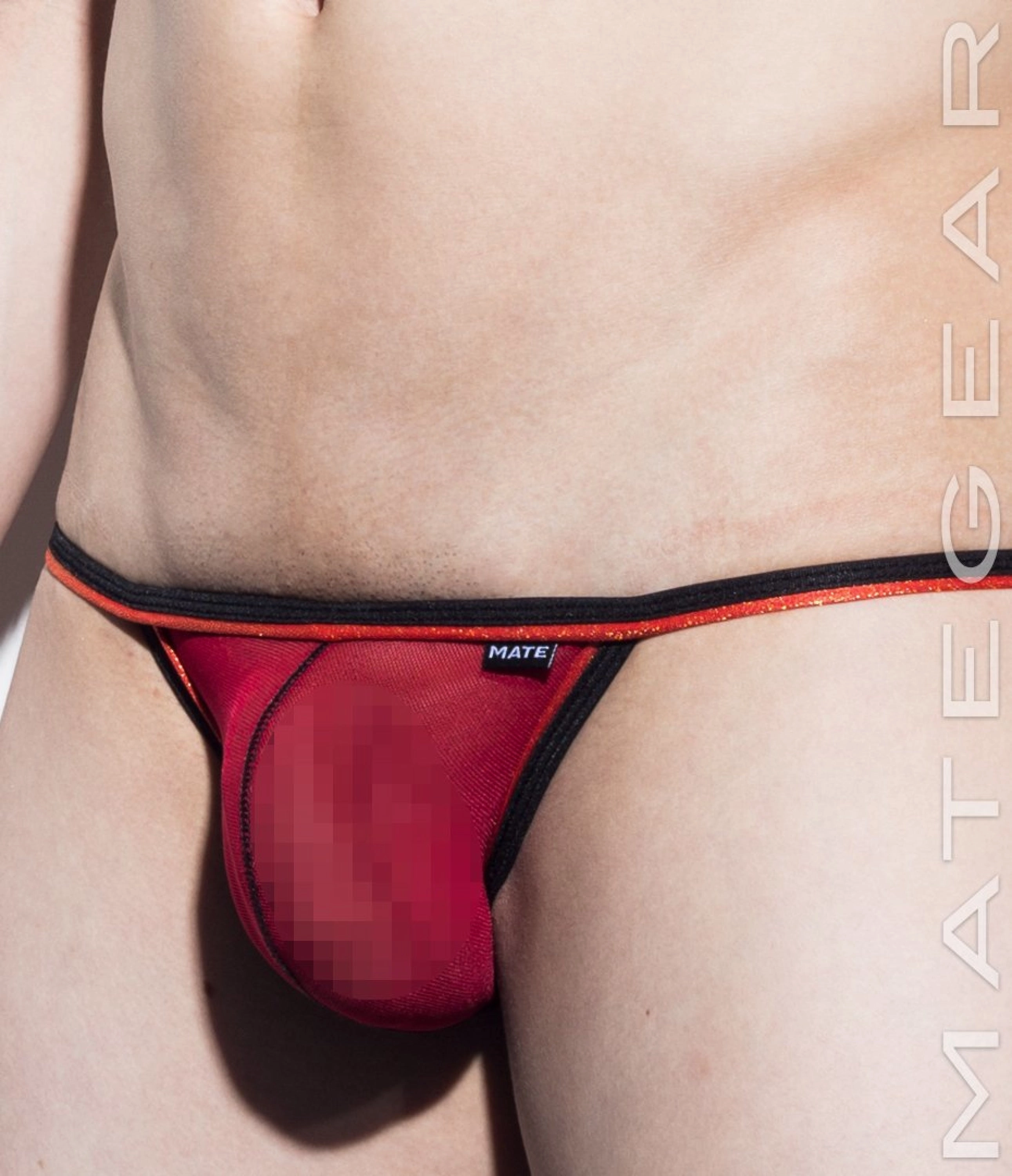 Sexy Mens Underwear Extremely Sexy Mini Bikini - Nam Woo (Mesh Series)