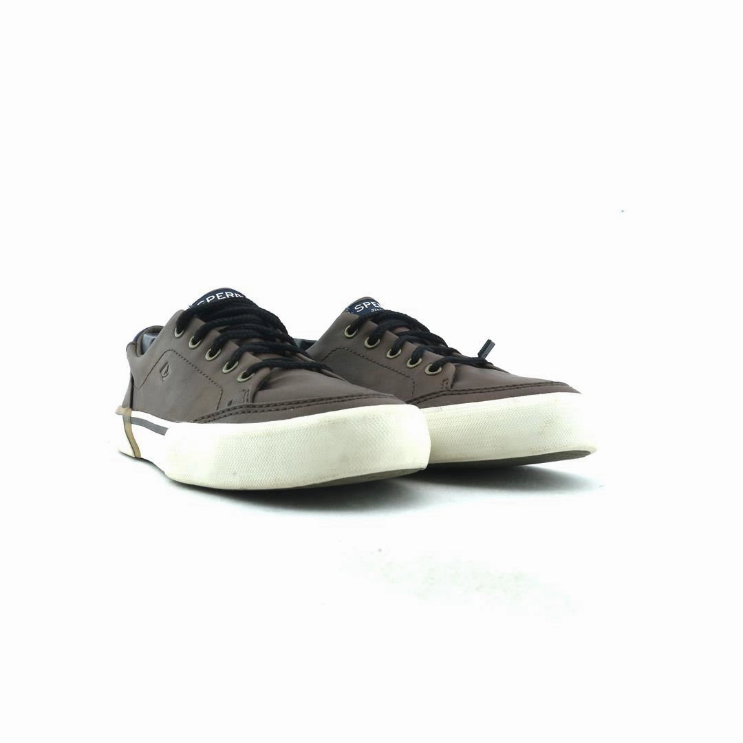 SPERRY TOP-SIDER