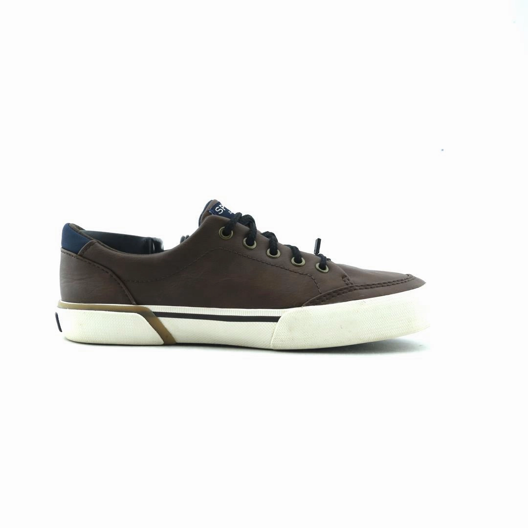 SPERRY TOP-SIDER