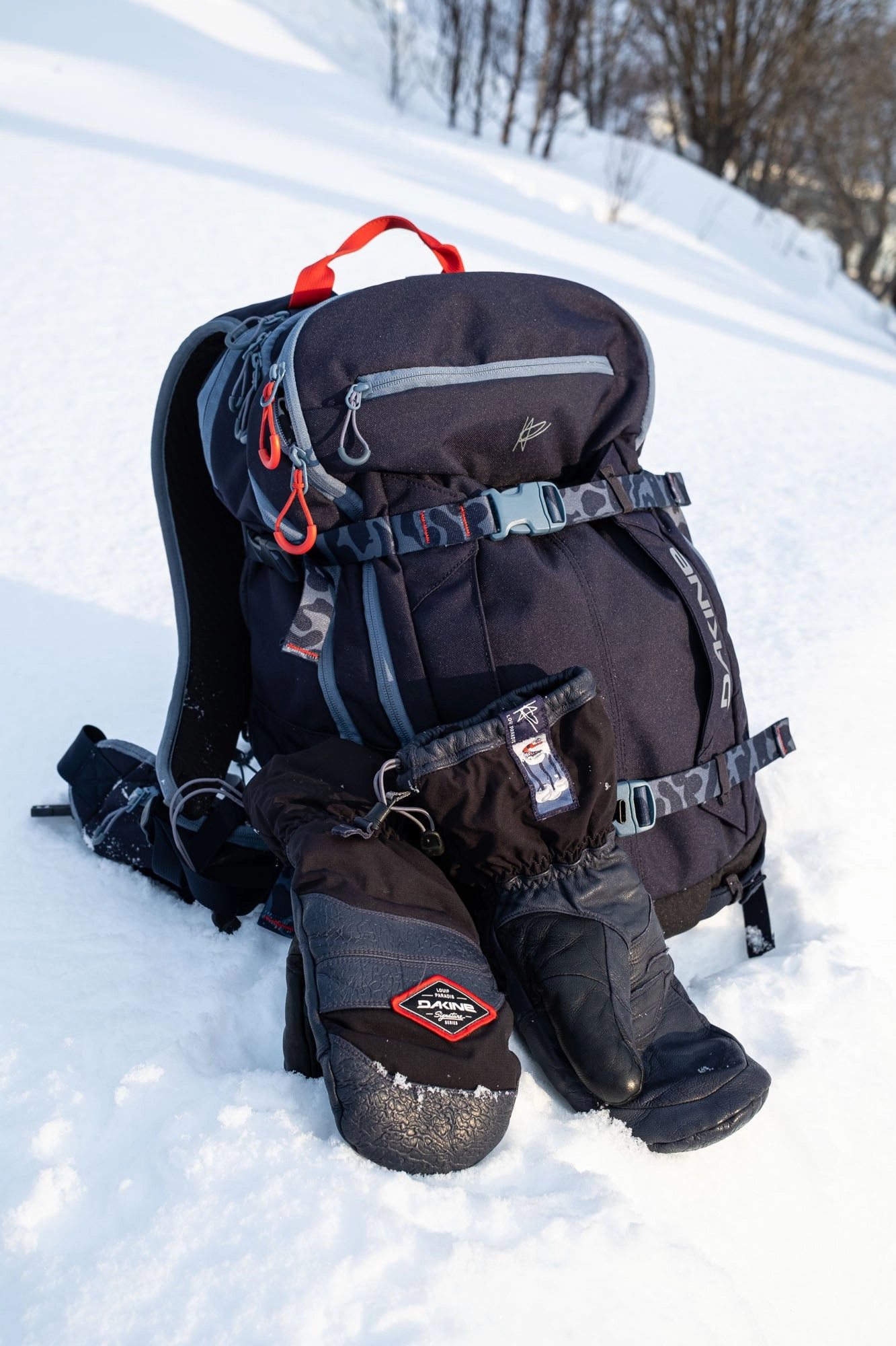 Team Mission Pro 32L Backpack - Louif Paradis